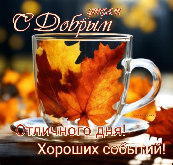 С добрым утром и с хорошим днем! Good morning and have a nice 