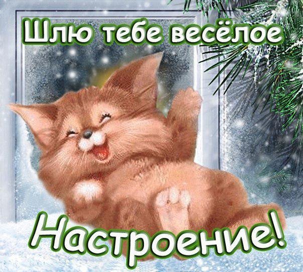 юмор#смешное#длянастроения 