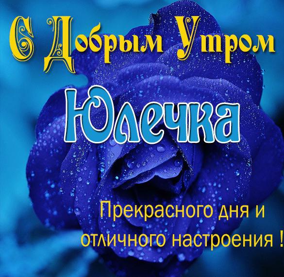 admin, Автор в iEcards