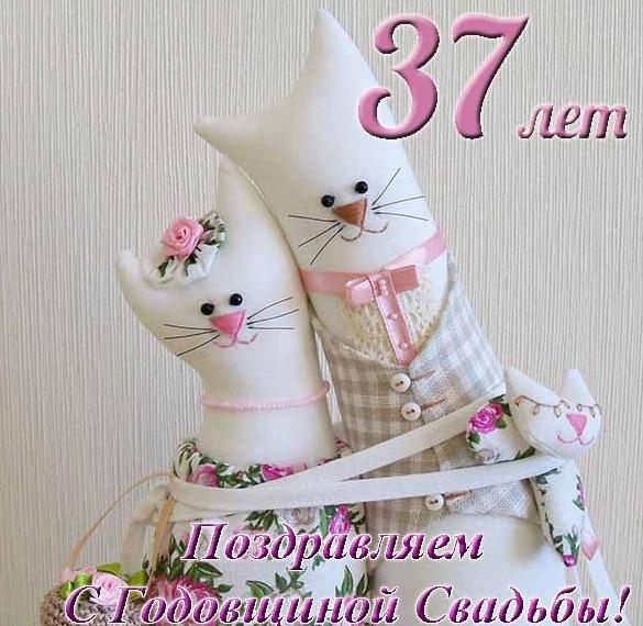 Кубок Муслиновая свадьба 37 лет вместе 