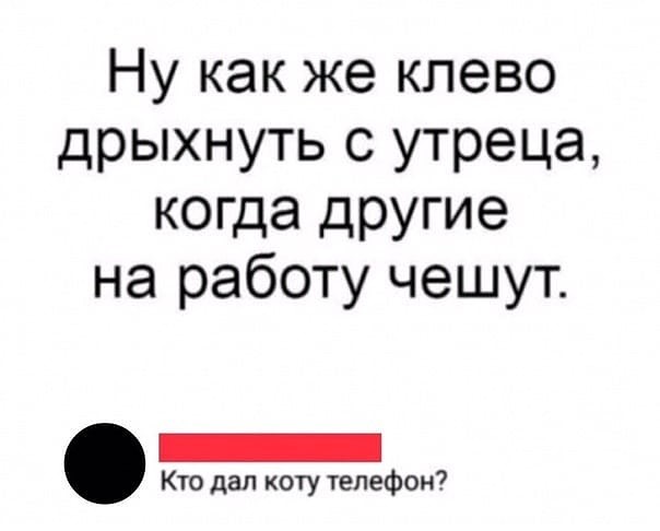 Открытка Как хорошо валяться по утрам