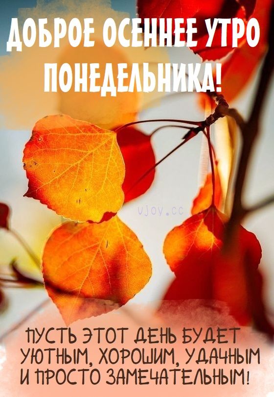 С добрым утром! /С началом недели!/С понедельником!