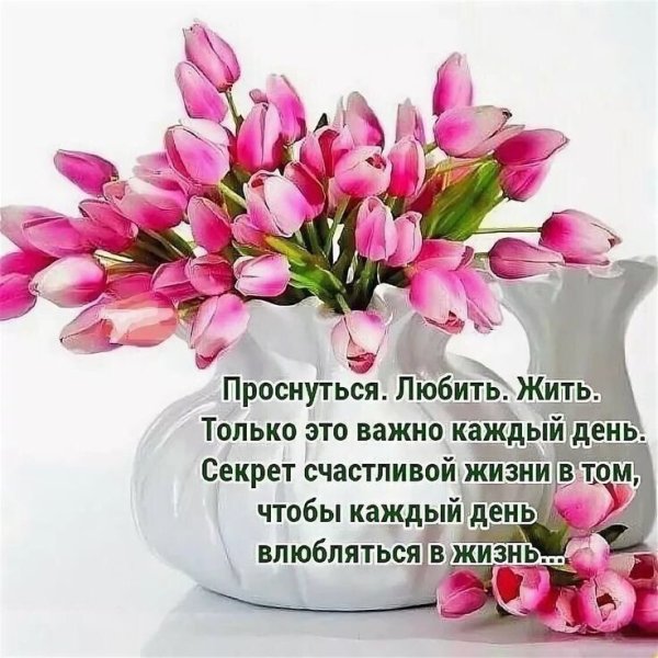 🌺🌿 ЯГОДКИ, ДОБРОЕ УТРО, ОТЛИЧНОГО ДНЯ! 🌿🌺 Помни, что 