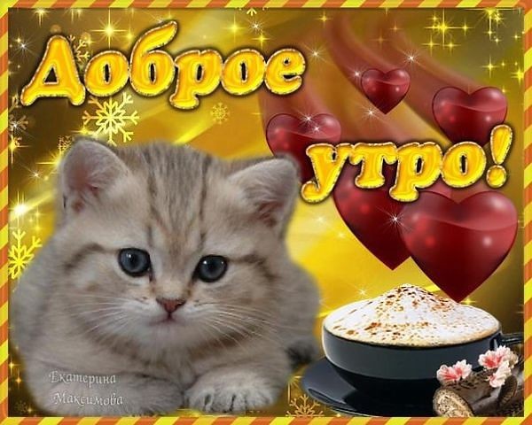 Пин на доске GIF Доброе утро, Кошечка, Милые котики