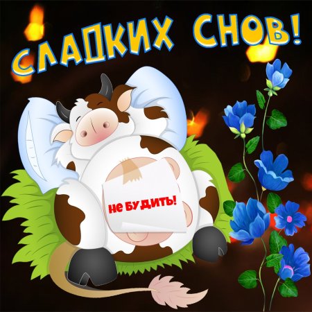 Открытки спокойной ночи 1000 штук