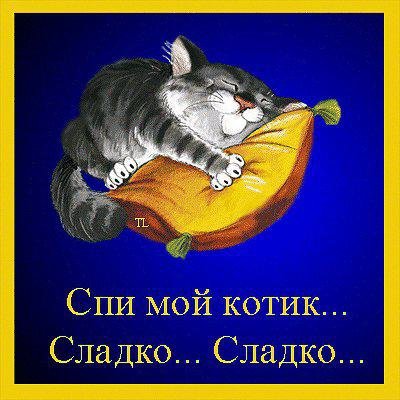 Котики#Доброй ночи#Сладких Снов#пожелания#Кровать#сон# 