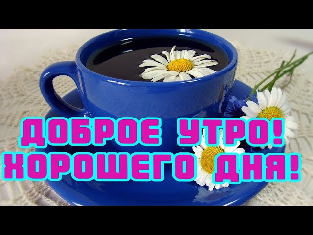 C добрым утром и хорошего дня! Красивые 