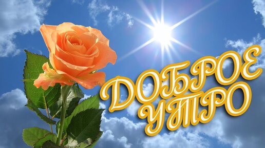 С ДОБРЫМ УТРОМ 2 Января!🌼Желаю Самого 