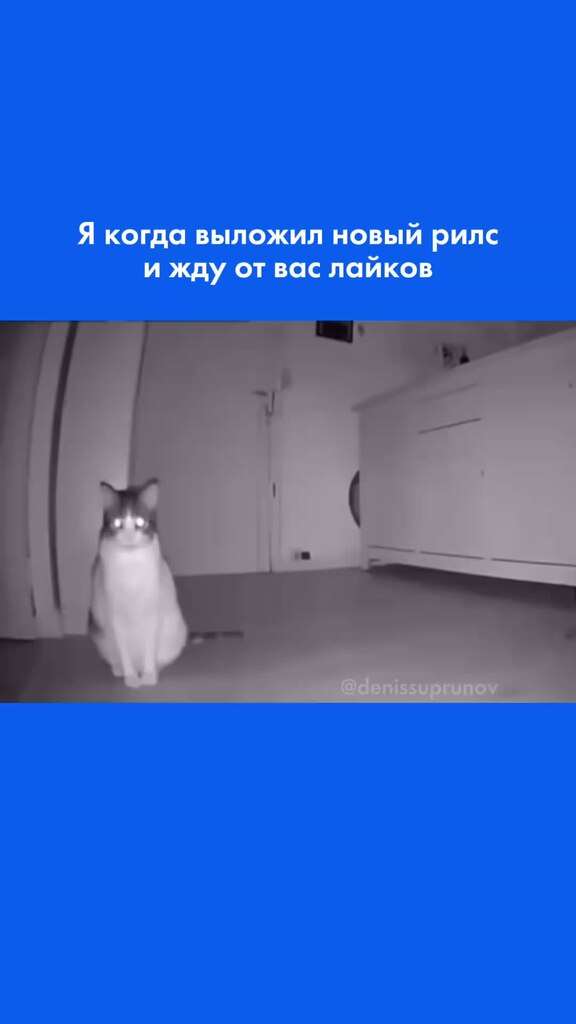 Отправь другу видео 