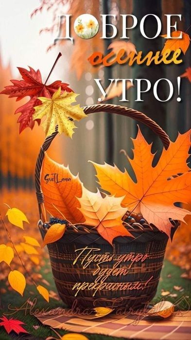 ☕🍁🌞☕Самого доброго осеннего утра 