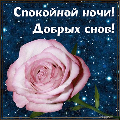 С добрым утром!#добрыепожелания #прекрасногонастроения 