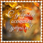 Осень… Доброе утро! ☀️🍂 картинки 