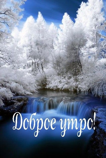Пожелания доброго утра с картинками о природе позитивные 