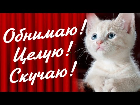 открытка скучаю по тебе