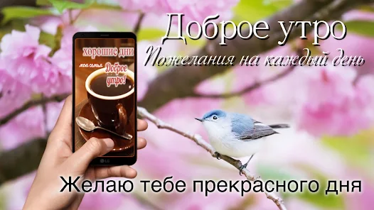 🍓🌞🍒 С ДОБРЫМ ИЮНЬСКИМ УТРОМ 