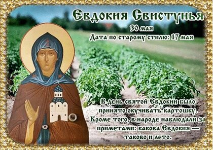 Евдокия Свистунья