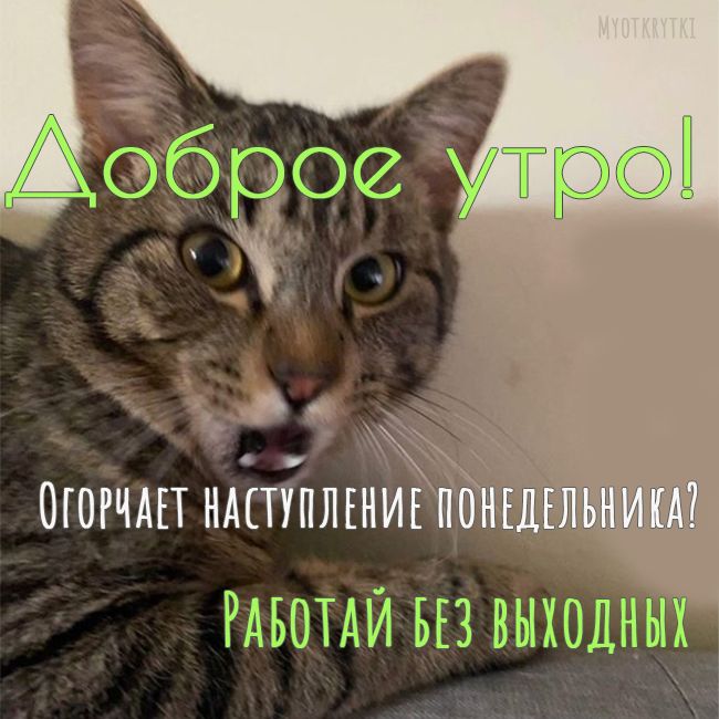 Прикольные открытки Доброе утро 