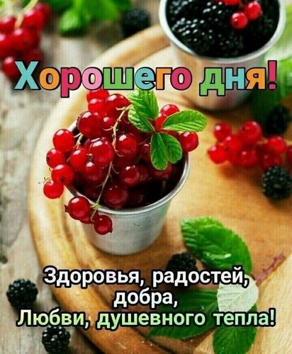 С Добрым Утром! ☕🌹Красивейшие Пожелания 