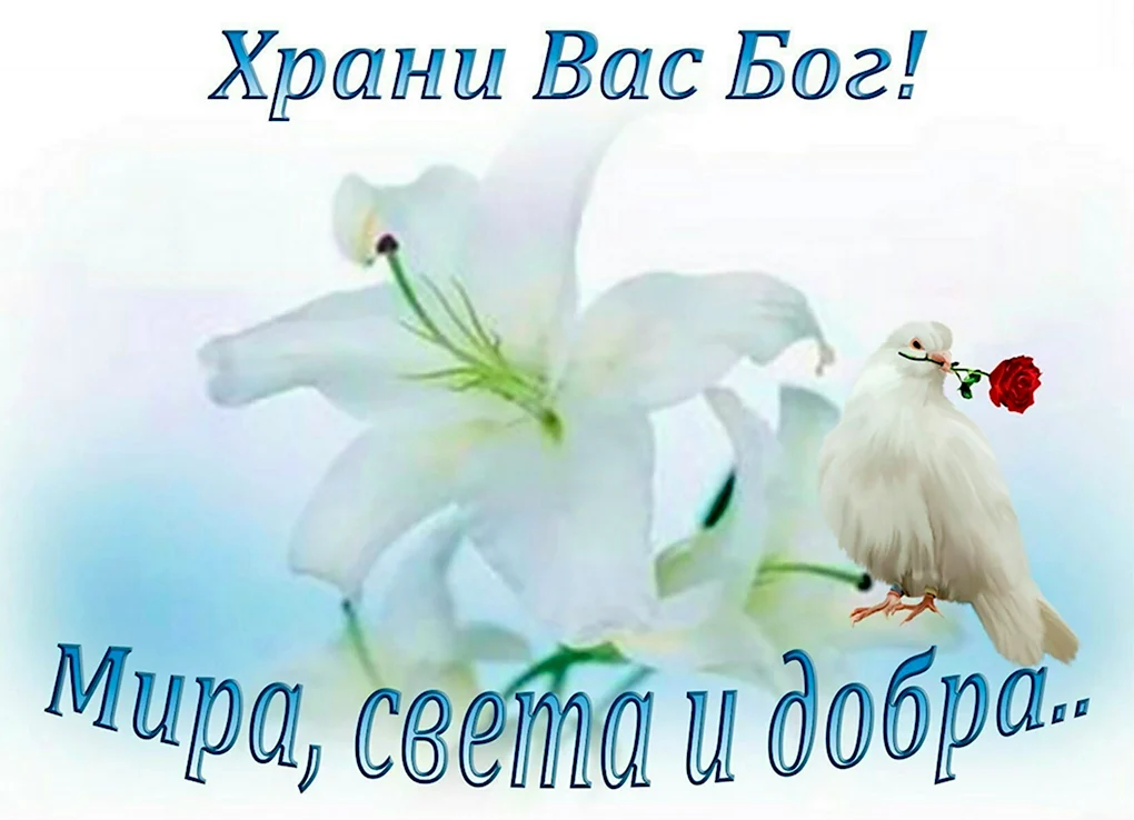 🕊💐☀Храни вас Бог, от бед и от несчастий 