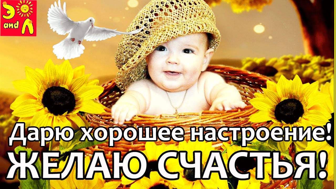 Видео Посылаю тебе хорошее настроение! 