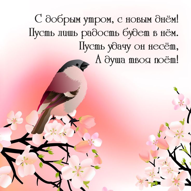 Доброе ВЕСЕННЕЕ Утро 💐 самые красивые 