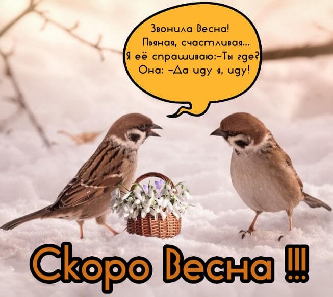 Демотиватор МАРТ! ТЫ ГДЕ?