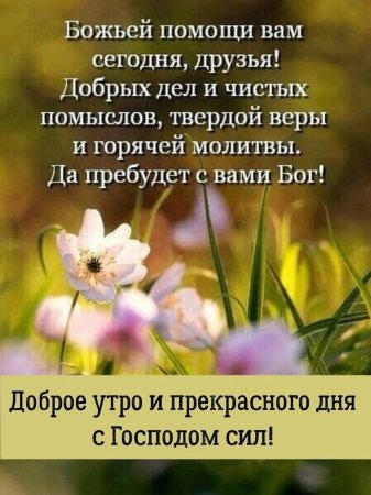 🌸✨🌸 С ДОБРЫМ МАРТОВСКИМ УТРОМ 🌸✨🌸 Доброе утро, дорогие 