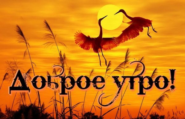 Доброе Утро