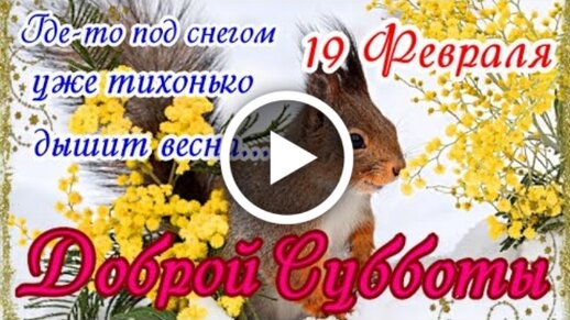 🌿💚🌿Чтобы день был счастливым, утро должно быть добрым 