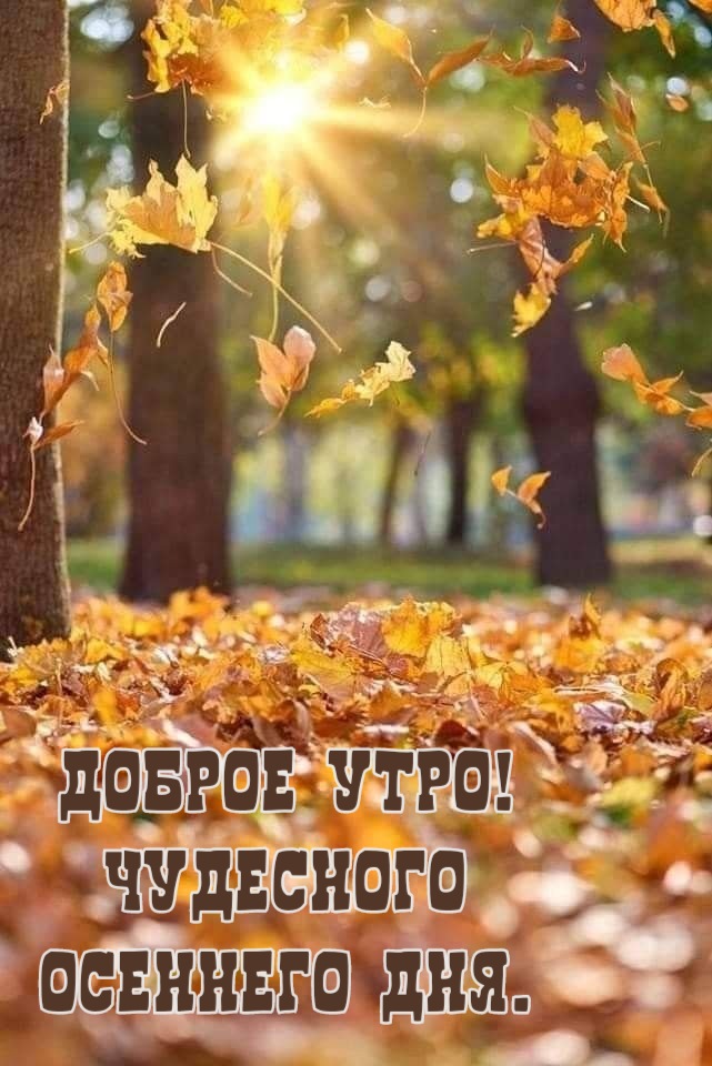 🍁 ⛅ ☕ Картинки С добрым осенним утром