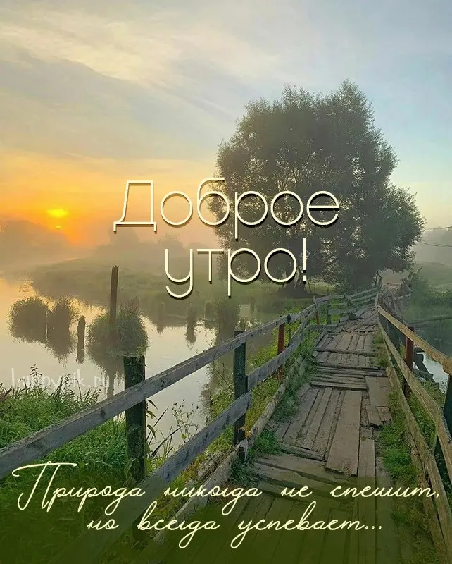 Открытки с добрым утром