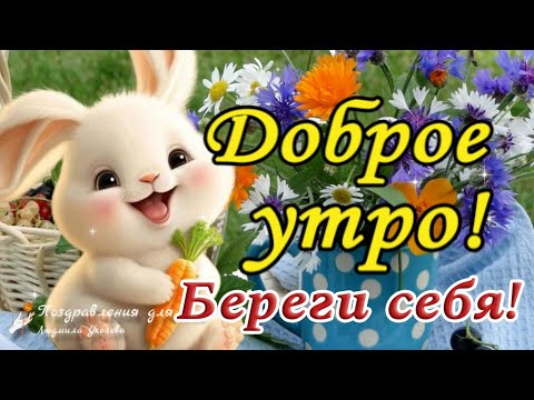 Смешные картинки Доброе утро зайка моя 