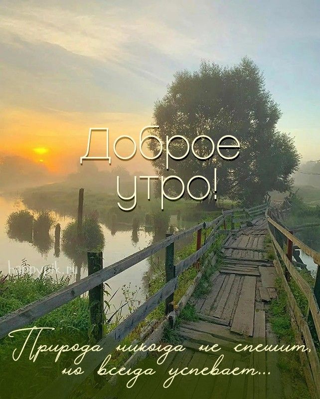 Картинка с добрым утром природа 