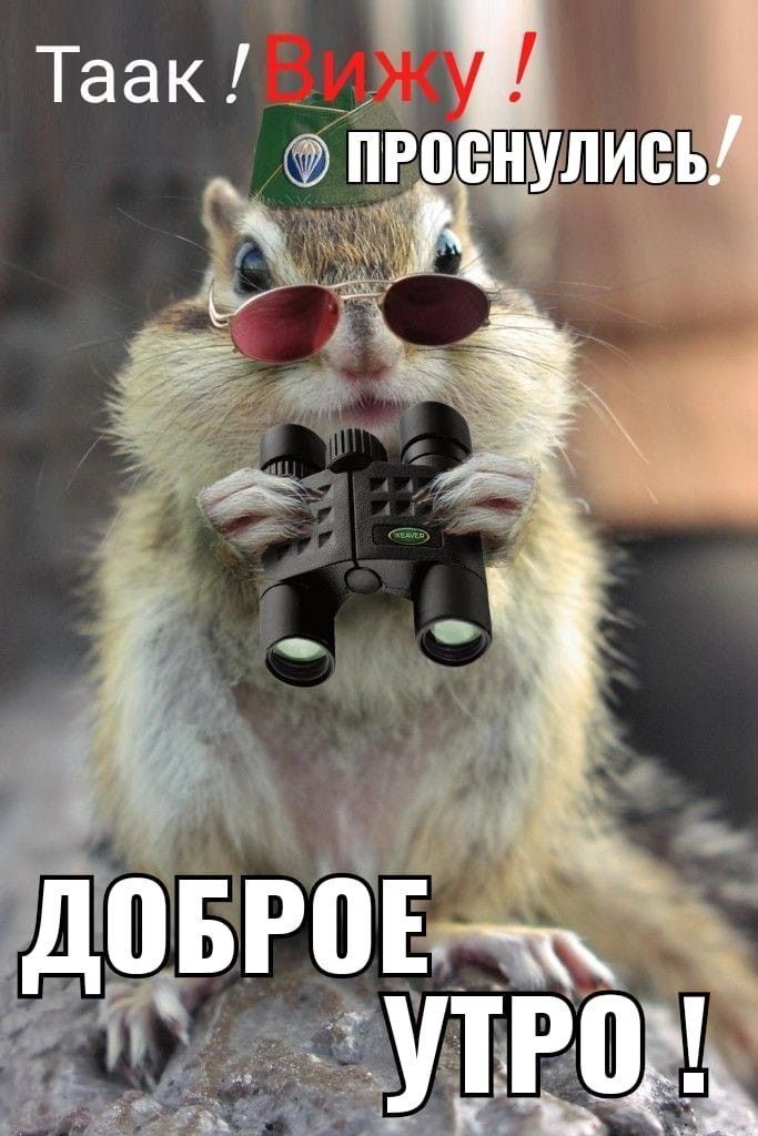 Доброе утро