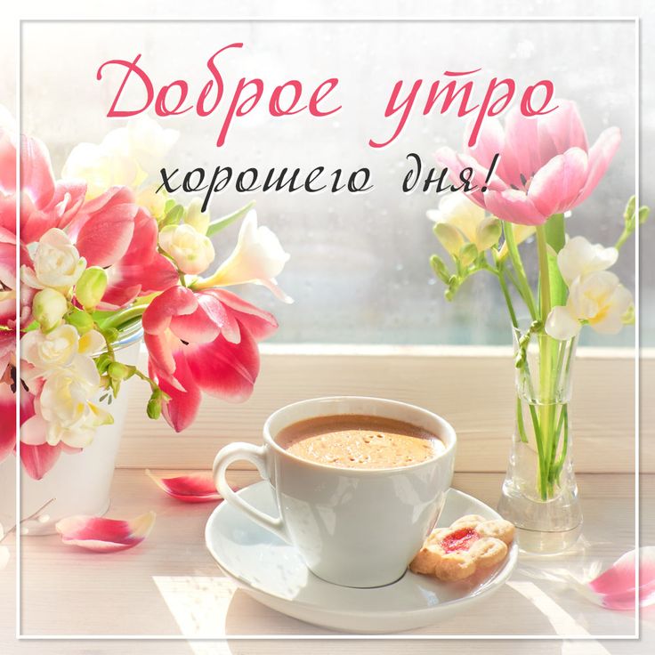 💌☀️😄 Картинки Хорошего дня