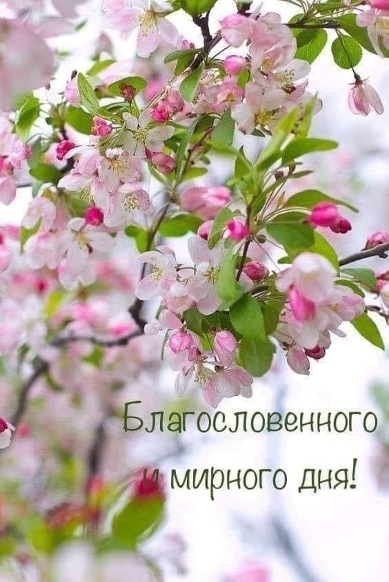 🌞🙏💓Доброго утра благословенного дня!💓Красивое музыкальное 