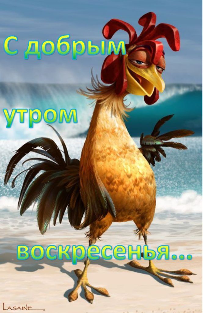 😃 Доброе воскресное утро