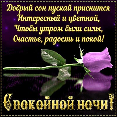 ДОБРОЙ НОЧИ! — картинки красивые необычные 🦋 — Мира и любви 