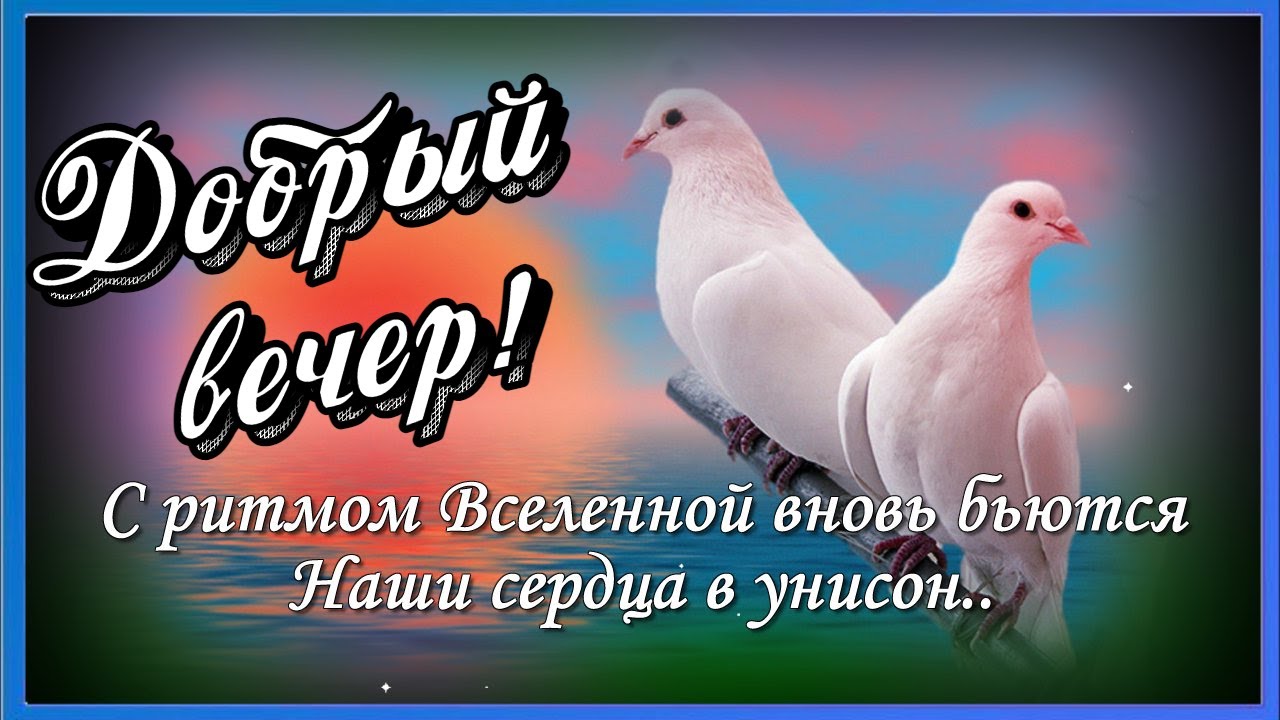 Пожелания для уютного вечера 