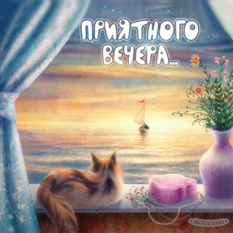 Желаю хорошего вечера и чудесного 