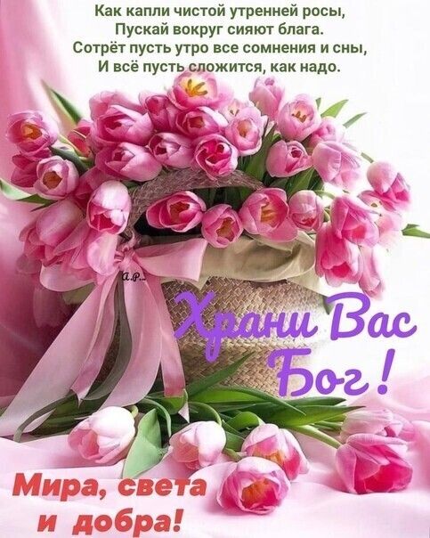 🙏💗🙏Пусть Вас хранит Бог!🙏💗🙏Доброго утра 