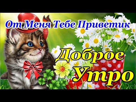 Доброе утречко 