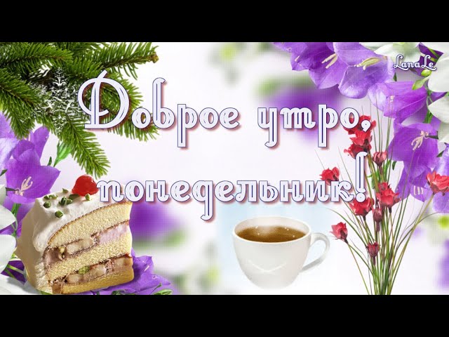 Доброе утро понедельника!☕ С началом новый рабочей недели в 