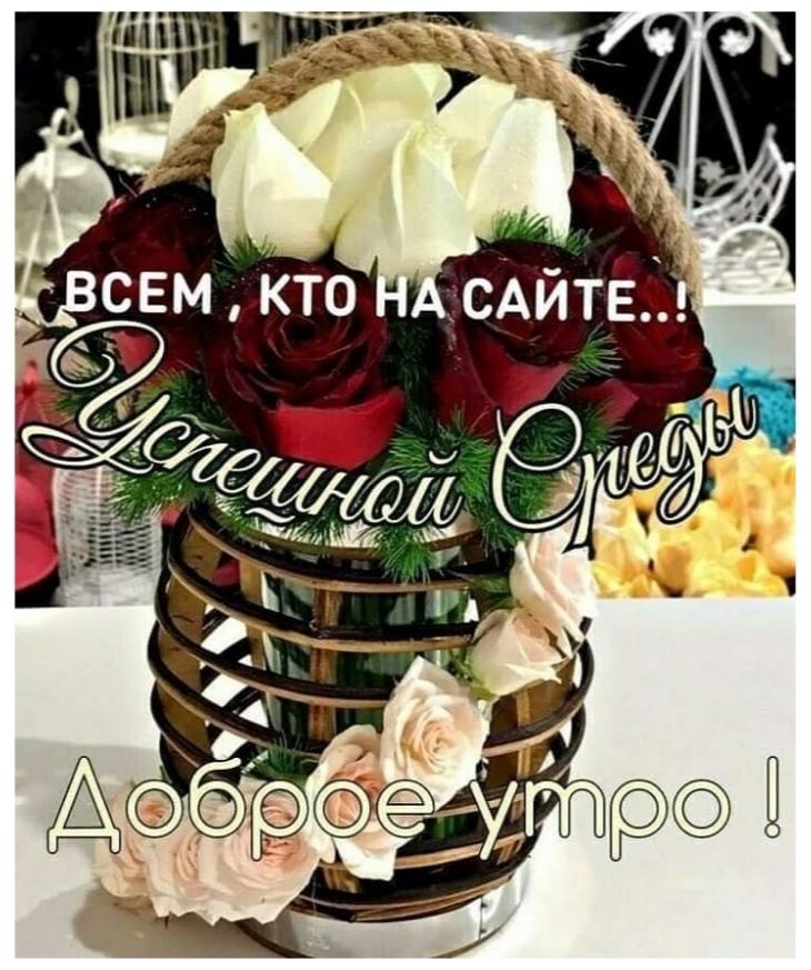 🍂🍁 ДОБРОЕ УТРО, ДРУЗЬЯ! ОТЛИЧНОГО ДНЯ! 🍁🍂 Сияя красками 