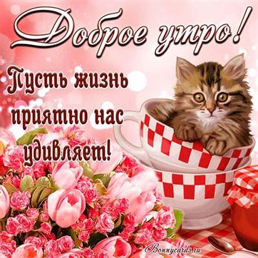 Доброе Утро ☕#пятница 🌷#отличногодня