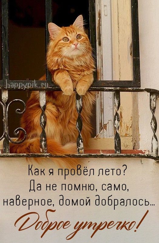 юмор#смешное#длянастроения##добрыйвечер 