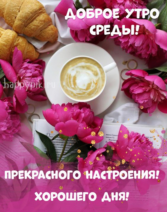 Доброе утро среда #сдобрымутром #среда #хорошегодня 