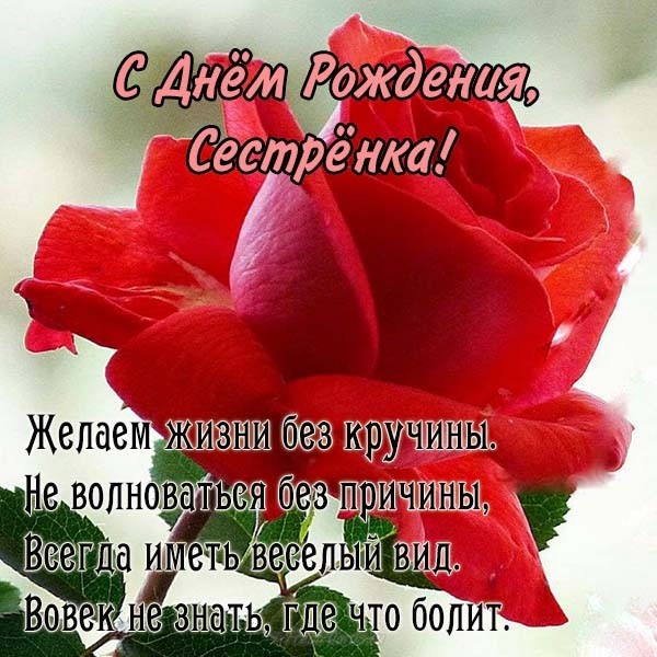 СЕСТРИЧКА, ДОРОГАЯ, С ДНЁМ РОЖДЕНИЯ 