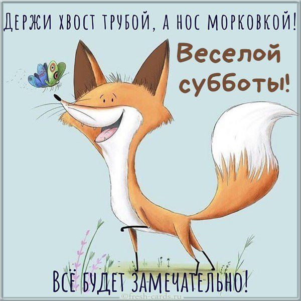 Доброе утро! 🌞Удачной субботы!😊❄️ 