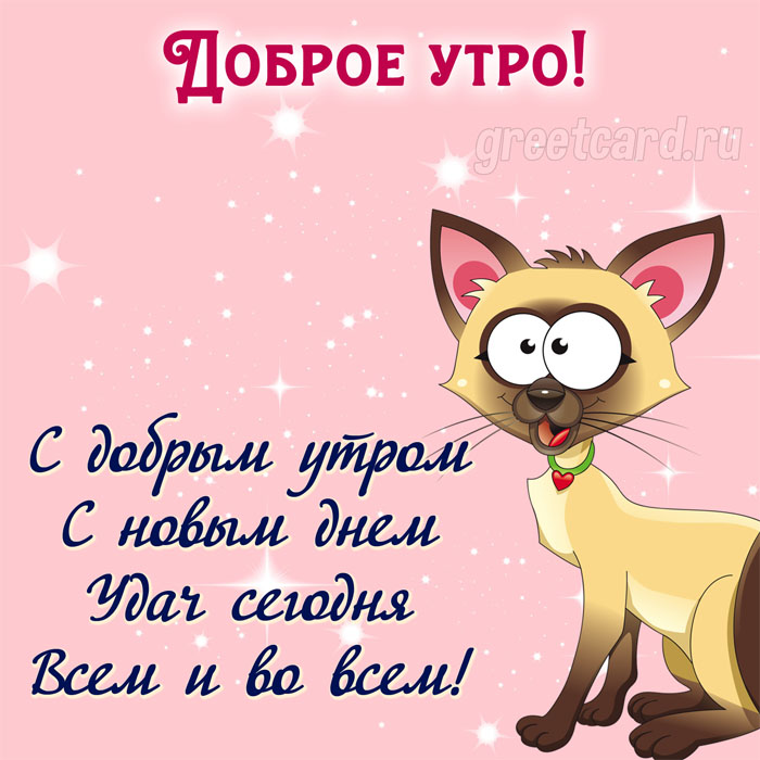 Открытки доброе утро котенок